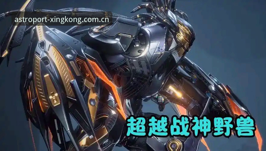 星空入口vs同类平台：我在新域测评站连续蹲了48小时后发现了什么